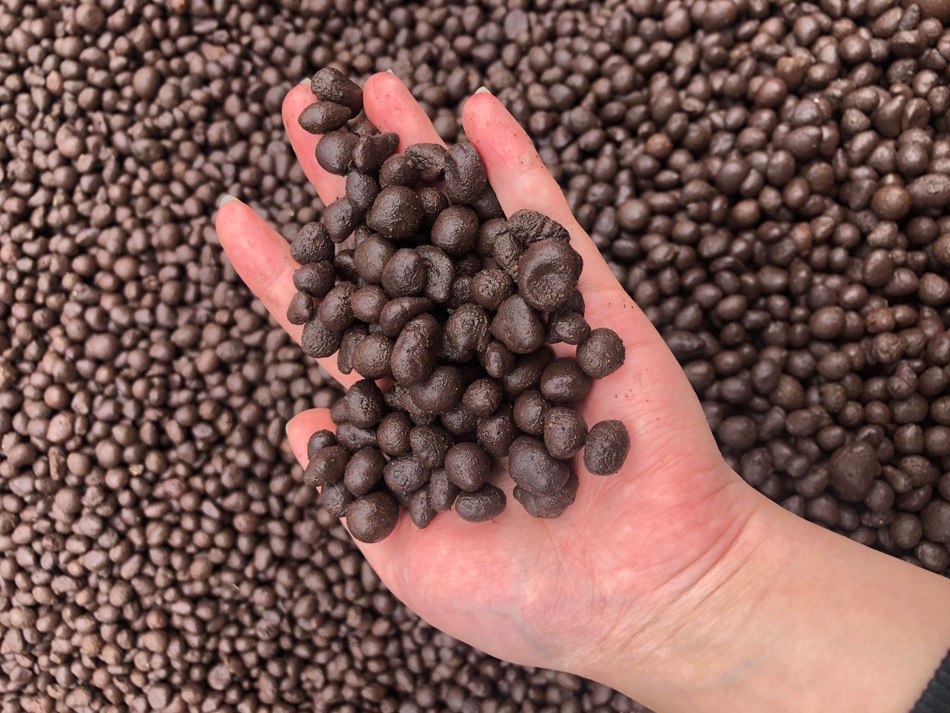 常州市龙顺环保服务有限公司获得陶粒挤出机头部切刀专利进步刀片在切开过程中的稳定性