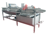 全自动洗菜机价格 JY-4200消毒功能涡流洗菜机 旋流净菜清洗机厂
