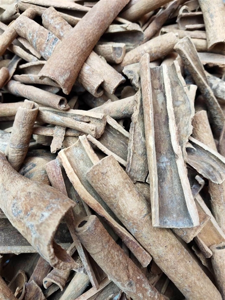 烟桂产地直销    烟桂的药用价值