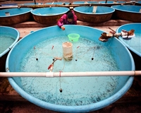 四川玻璃钢鱼苗养殖槽生产厂家