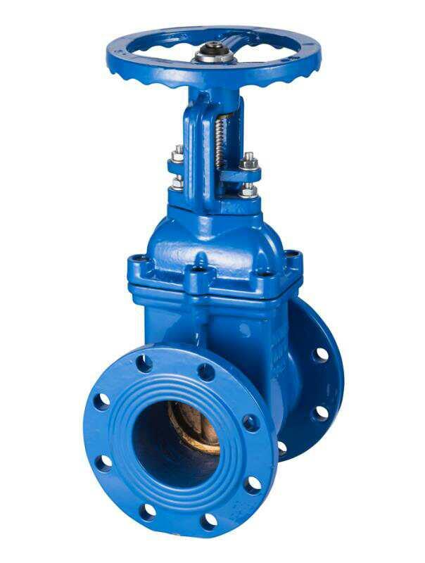 防护闸阀 埃维柯阀门铜杆闸阀 明杆防护闸阀 铜芯铜杆手动闸阀