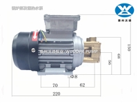 WD-021S泵 热油泵 锅炉蒸发器热水泵