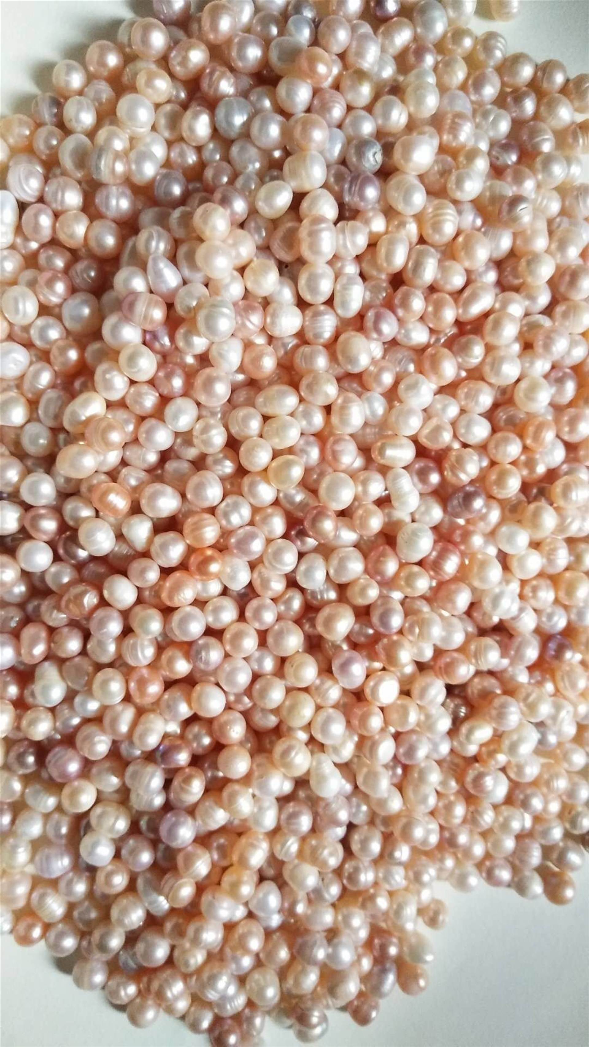 珍珠粉的功效与作用珍珠粉的价格