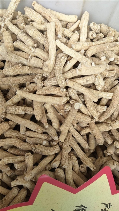 西洋参功效作用  西洋参价格