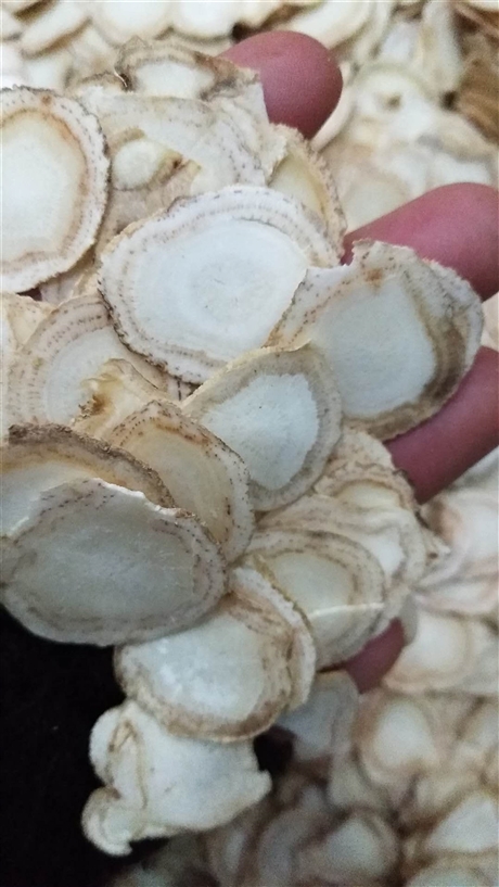 西洋参产地价格   西洋参功效