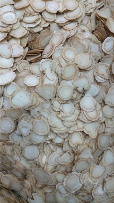 西洋参各种规格供应   西洋参批发