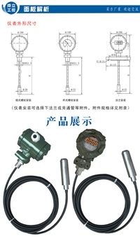 投入式液位变送器 数字式液位计 自动液位计