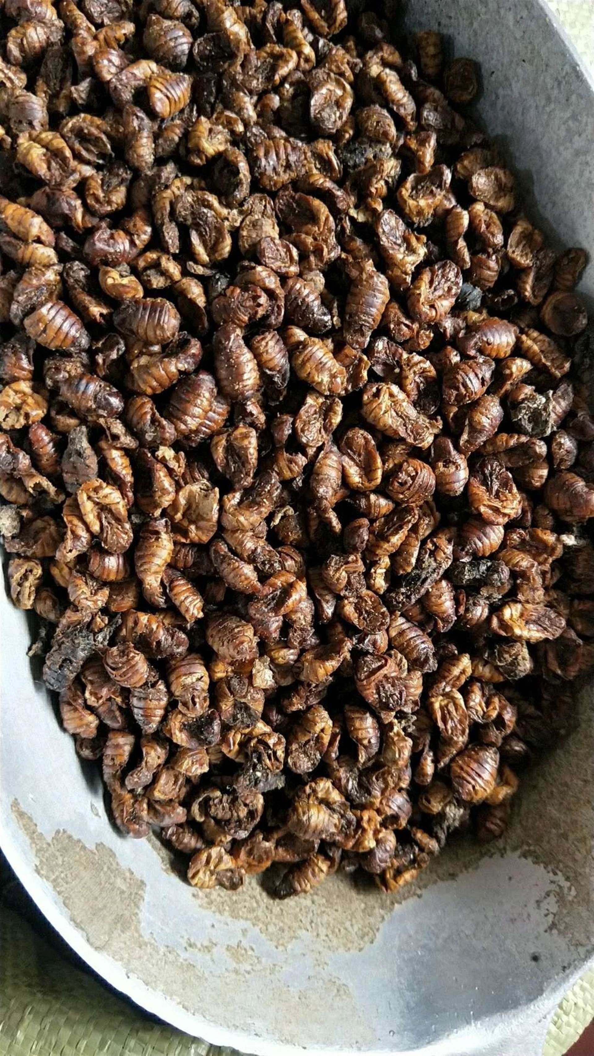 中药材批发水蛭吊干水蛭