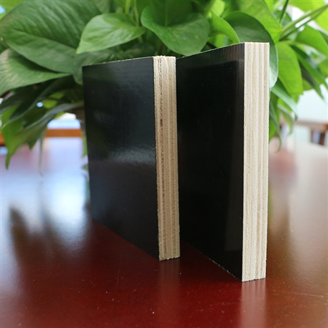 建筑模板 展途工程建筑使用模板 多层厚度实用性强带字黑板