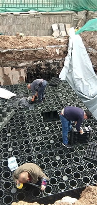 模块式雨水回收利用设计说明