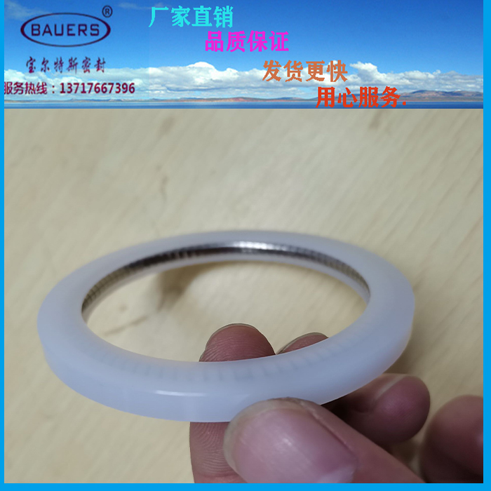 电磁阀密封圈_vvt电磁阀密封圈