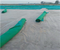 150g草绿色土工布覆盖工地防尘 环保绿化