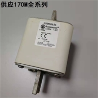 BUSSMANN原装熔断器170M4417 170M4467