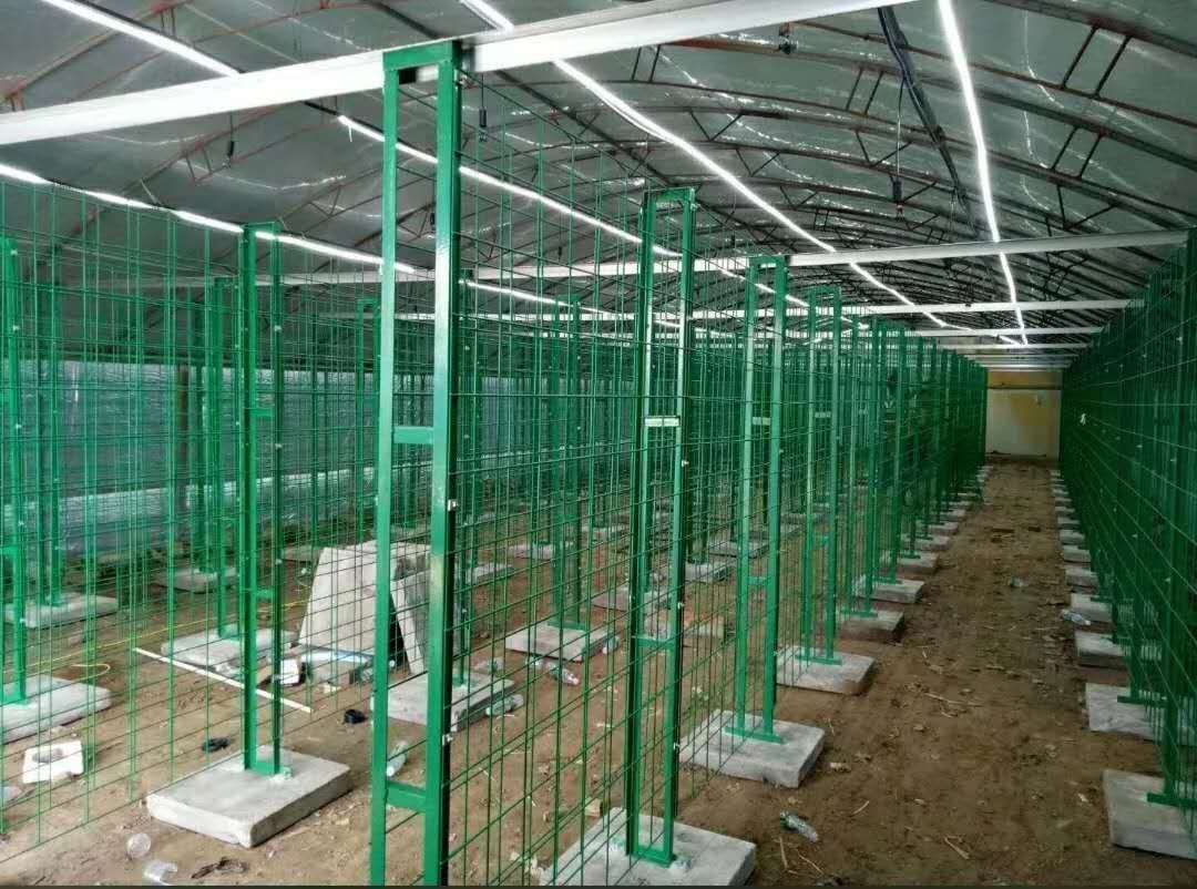 出菇房网格布食用菌网格培植架