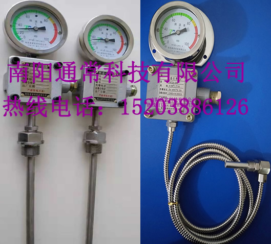 WTZD-285Z防爆测温表