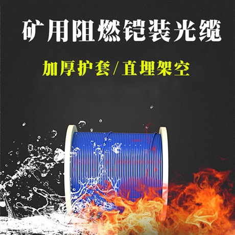 12芯光缆 室外单模铠装架空管道地埋 24芯矿用阻燃光缆
