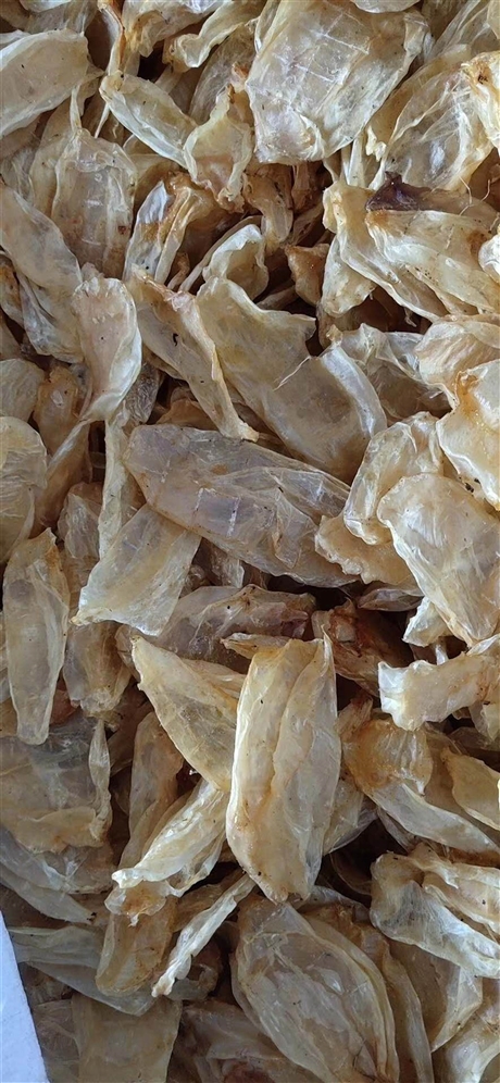 鱼鳔出售   鱼鳔的食用方