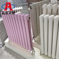 钢制暖气片图片与参数UR4007-300 钢制二柱暖气片拆洗