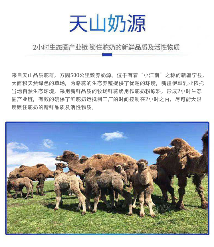 孕妇骆驼奶粉价格新疆骆驼奶生产厂家孕妇奶粉富含叶酸dha