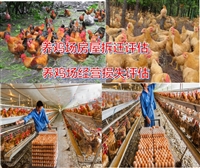 养牛场评估养猪场评估养鸡场评估