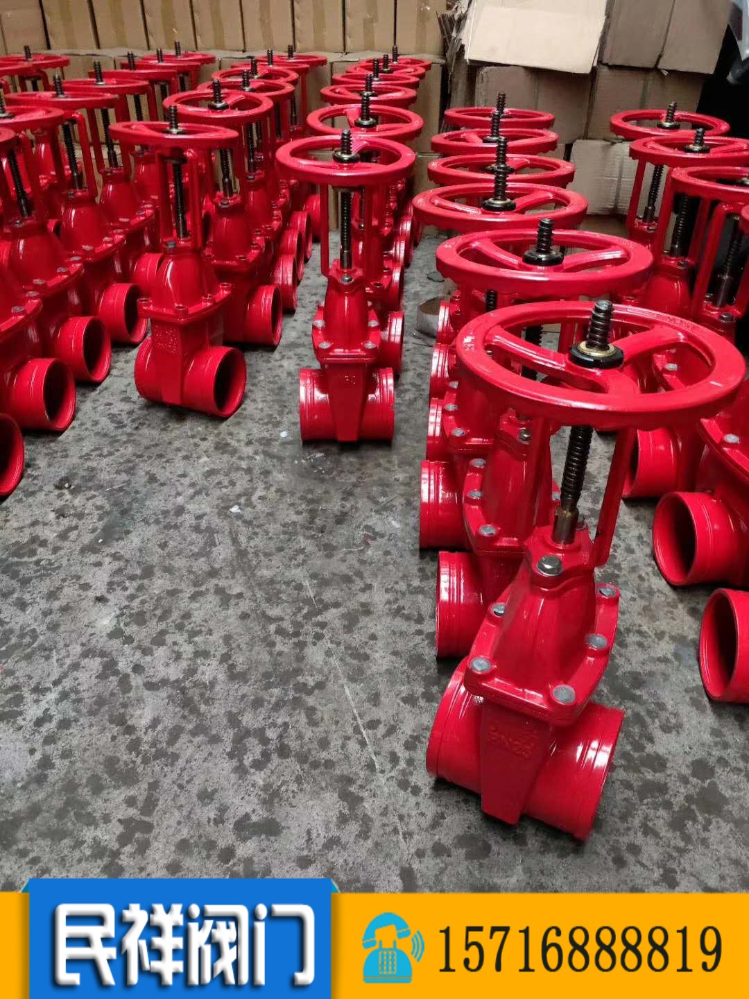 法兰沟槽明杆闸阀z81x