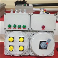 IIC级防爆配电箱 bxmd51-4K/160防爆动力配电箱