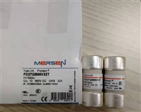 法国罗兰熔芯V076309 FR27UQ69V63T