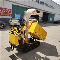 供应小型履带车 履带随车吊 农用小吊车 履带小吊机 履带吊