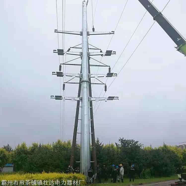 辽宁墨西哥玉米草播种方法