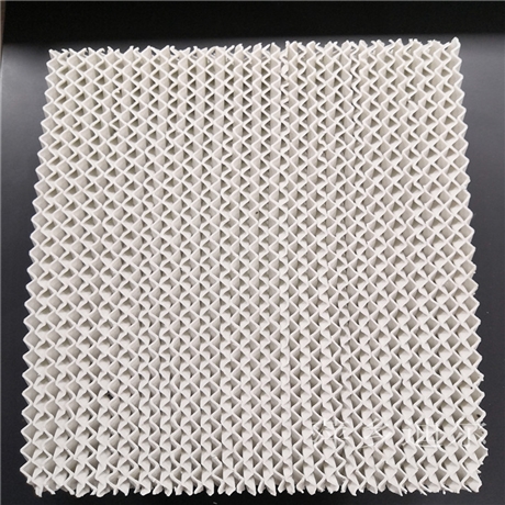 陶瓷波纹板填料 不锈钢规整填料 PP 金属鲍尔环填料厂家