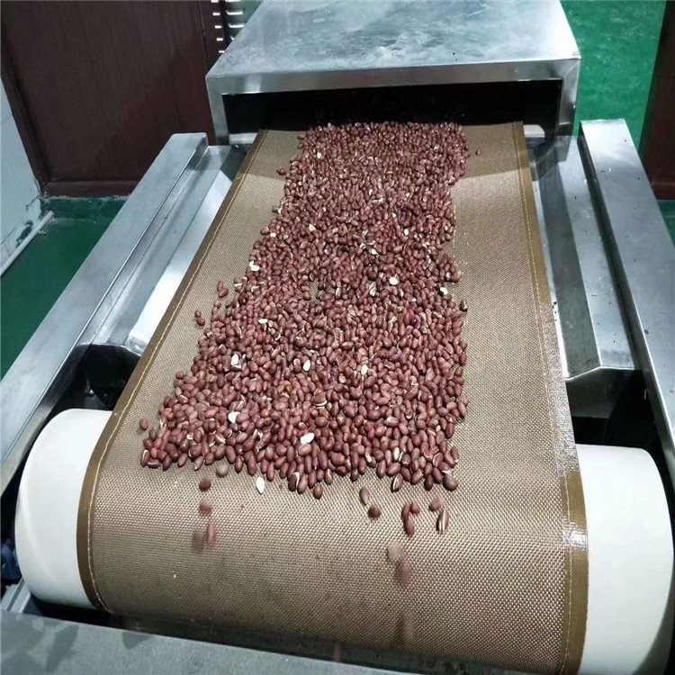 黃豆花生微波熟化設備 五谷雜糧烘培機