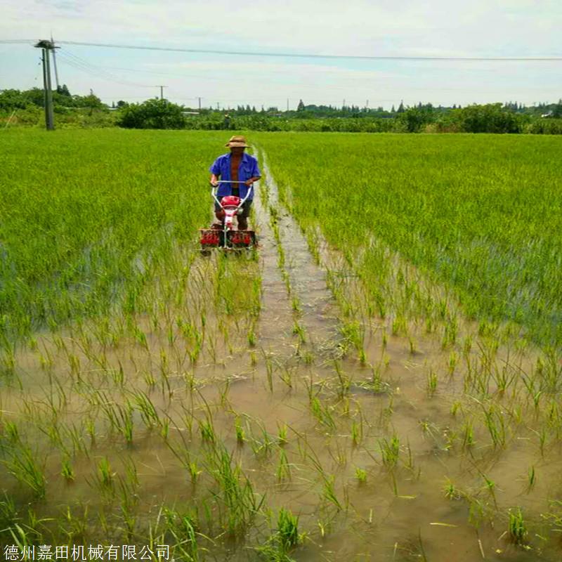 直销小型水田除草机手扶两行除草机汽油动力水稻田间除草机