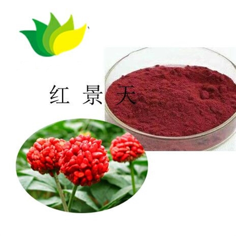 红景天提取物红景天苷红景天甙