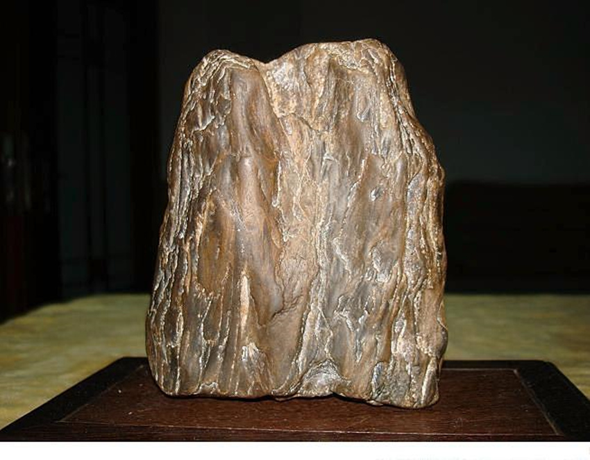 十万以上的木化石价图片