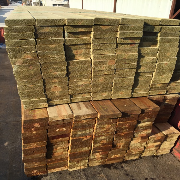 海湾油松早材带较宽,短叶松较窄,早晚材过渡急变.