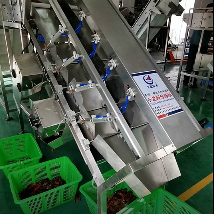 小龙虾分选(63张)