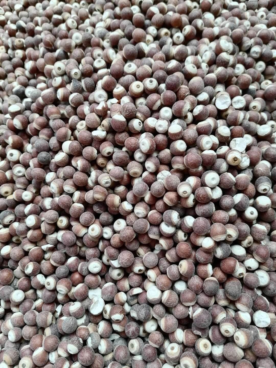 中药材供应西洋参.长白参