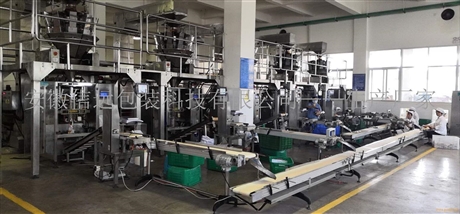 广西省粉料真空包装机