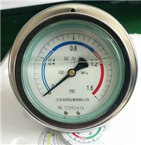 YTF-100ZQ轴向带边压力表