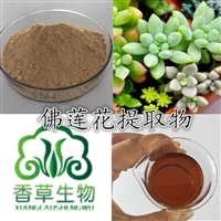 佛莲花提取物30:1 植物萃取宝石花提取粉 宝石花粉