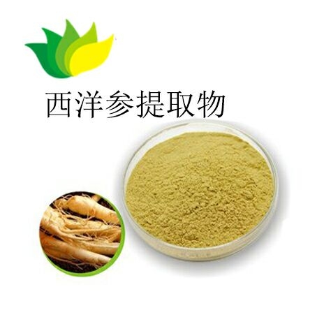 西洋參提取物皂苷粉末