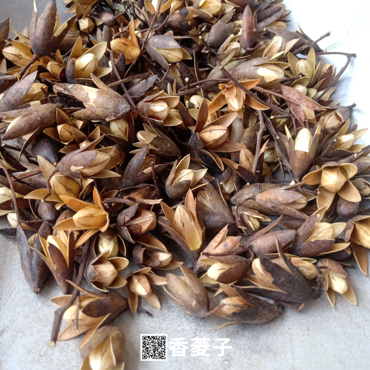 中药材香菱子香菱子的功效与作用