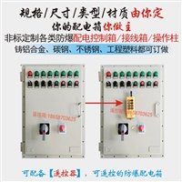 隔爆防爆开关箱控制柜箱配电柜箱