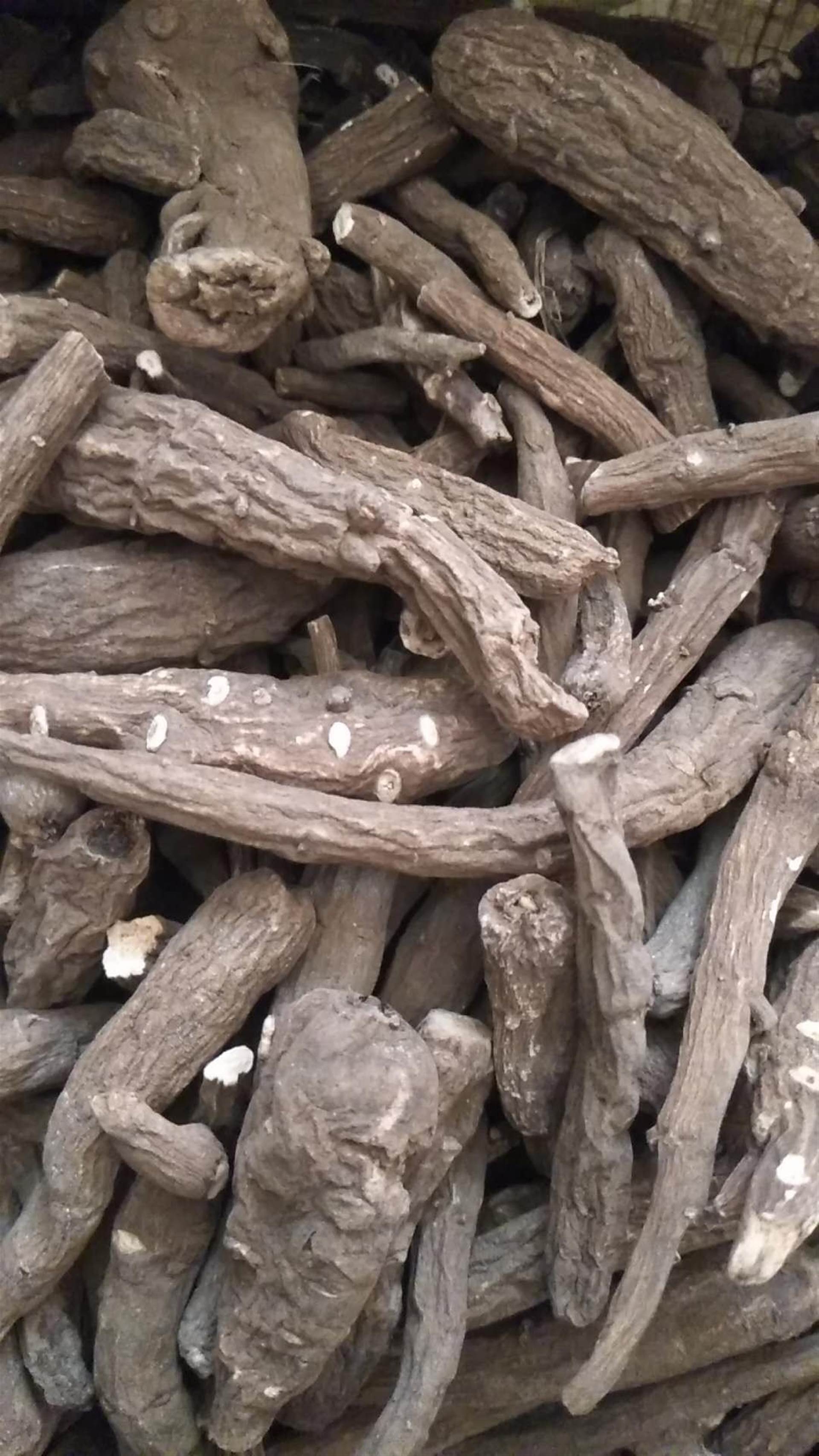 竹花泡酒有哪些好处        竹花药用价值