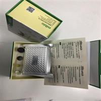 自营品牌小鼠胃动素(MOT),酶联分析试剂盒