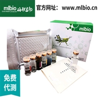 AP62AP62抗体多种属分析试剂盒，液体盒装