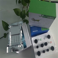 COL4IV型胶原多种属分析试剂盒，实力厂家供应