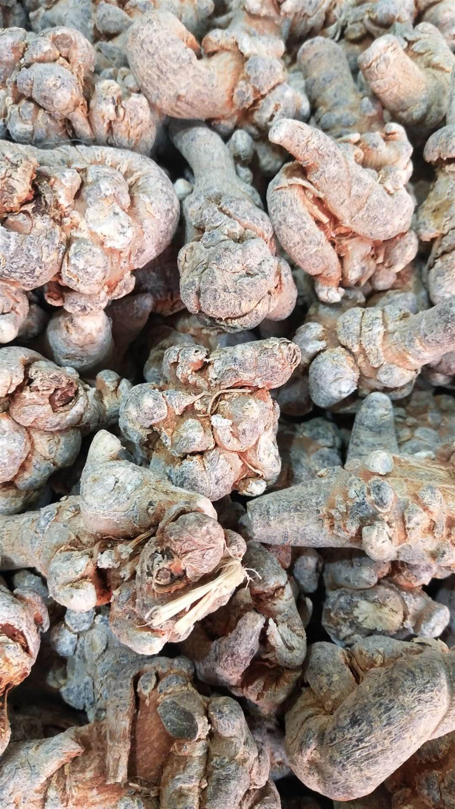 三七多少头的好    三七的价格