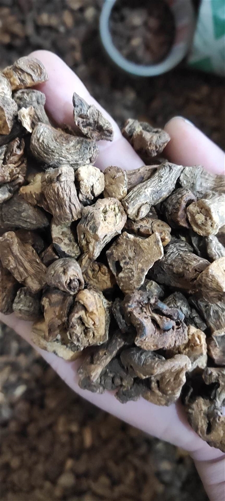 中药材批发青黛青黛的功效与作用