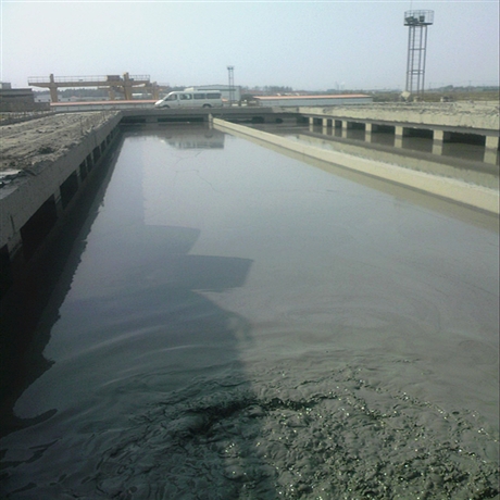 淄博瑞昱泵业CSL型 液下排渣泵使用视频